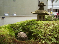 2010年06月13日