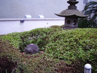 2009年06月14日
