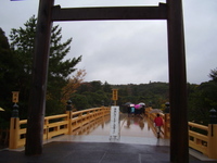2009年11月22日