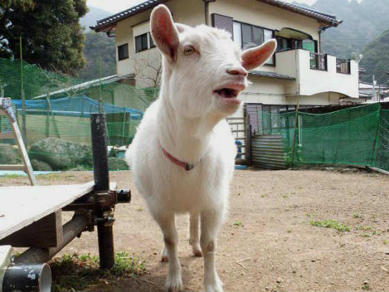 あゝ無情