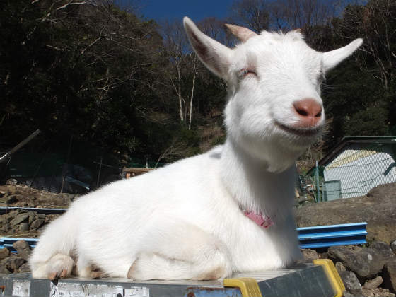 ただの2012年12月24日