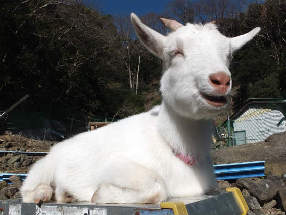 ただの2012年12月24日