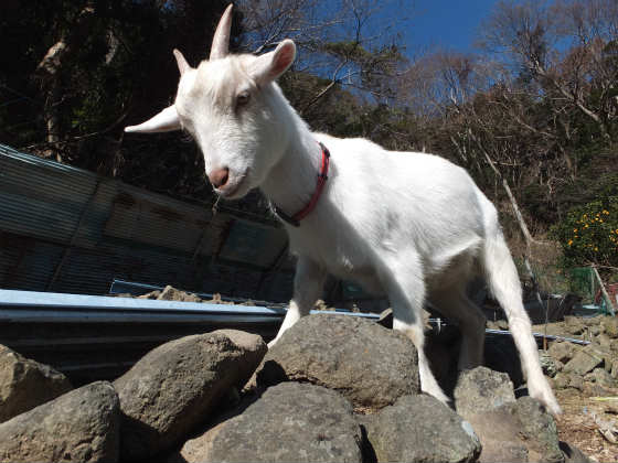 ただの2012年12月24日