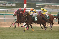 クラッシック第一弾、桜花賞