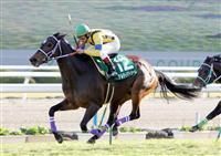 競馬は外れたけど・・・・「紫師魂」は上手い！「