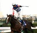 フェブラリーは４歳馬を狙ってみたい