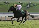 安田記念は香港馬で勝負！