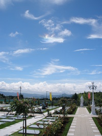 彩雲　見ました