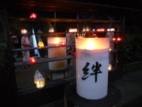 時之栖