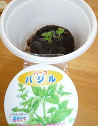 快晴の一日