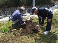 植樹祭