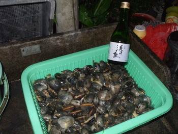 東北のお酒で・・