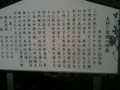 我が家の”柊”　