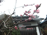玄翁（げんのう）