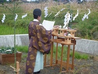 昨日地祭りでした。