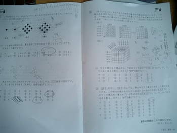 全国統一小学生テスト