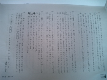 全国統一小学生テスト