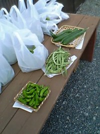無人販売開始