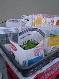 リーフレタスの霜よけ