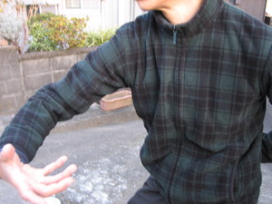 肩の動かし方と太極拳の力