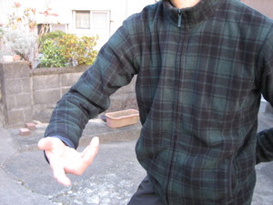 肩の動かし方と太極拳の力