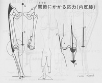 太極拳と変形性膝関節症