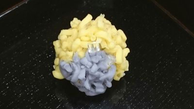 ブログはじめました