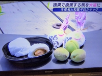 テレビや新聞等でご紹介いただきました