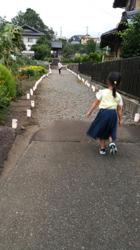 燈花会 2017/08/16 14:13:24