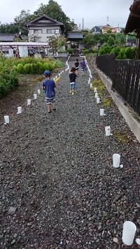 燈花会ってご存知ですか 2018/08/14 22:45:12