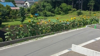 ８月の予定 2017/07/18 20:38:48