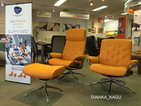 エコーネス　ストレスレス（R）新商品＆キャンペーン