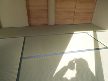 今朝納めてきた畳です(#^.^#)