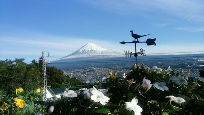 眺めの良い元祖喫茶店の土一揆さん(=^・・^=)