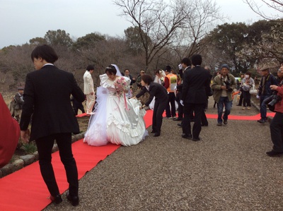 岩本山公園③ 観梅ウェデイングの写真たち。
