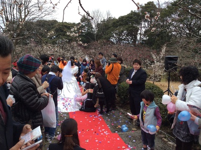岩本山公園③ 観梅ウェデイングの写真たち。