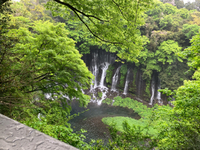 海外(台湾)からのブログからの初問い合わせのお客様^ - ^