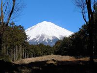 山宮浅間神社のご紹介です。