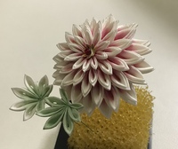 花嫁打掛のオーダー