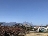 感謝祭に行ってきました！