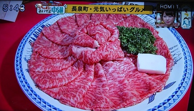 あしたかつがテレビに出ました♪
