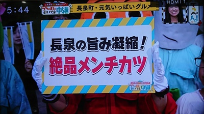 あしたかつがテレビに出ました♪