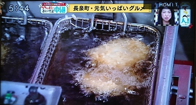 あしたかつがテレビに出ました♪