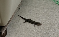 少し前のイベントにて・・・