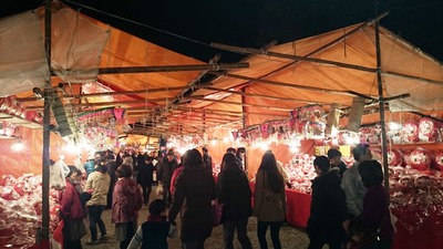 ダルマ店がいっぱい！