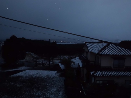 精密模型の依頼とノー天気の二匹です