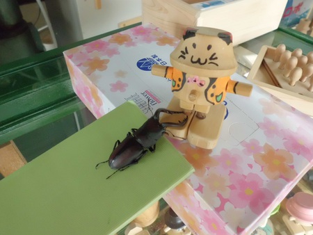 クワガタ、工房へ