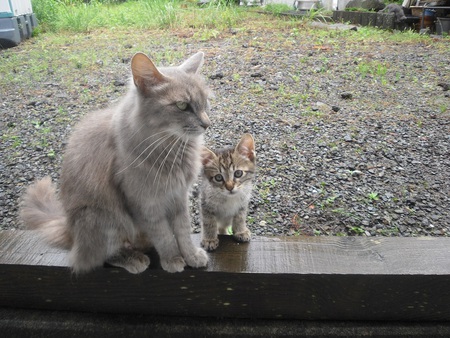 今日はのんびり