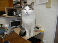 小さな感動