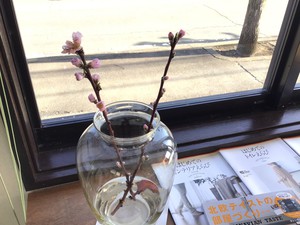 3月7日の記事